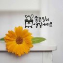아리랑목동 - 봉뮤직 / 낭랑18세 - Release - Topic 이미지