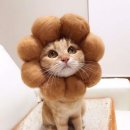 건대입구역-14 이미지