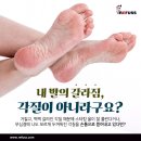 레푸스신도림역점