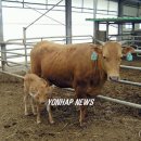 명호목장 이미지