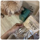 하리보양집 | 강아지 수제간식 추천 반려견 육포 내돈내산