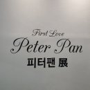 피터팬문구 | [압구정로데오역] 서울 전시회 추천 / K현대미술관 피터팬전 솔직후기