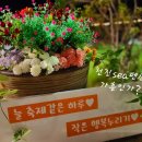 마이프렌드팬션 이미지