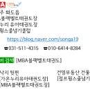 가온누리태권도 이미지