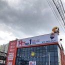 펫넘버원 이미지