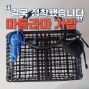 이가방 | 마틀라마 수영가방 후기, 결국 이 가방에 정착한 이유