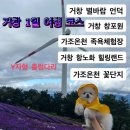 별,바람,꽃길 이미지