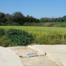 산외면~종산리 이미지