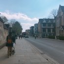 데이븐포트 | 옥스퍼드에서의 날들(My Oxford Year) 넷플릭스 영화 추천 후기