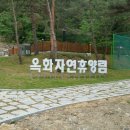 옥화자연휴양림 이미지