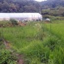 빈이농장 이미지