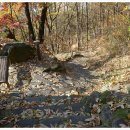 무척산식당 이미지