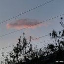 빛나수산 - 아산시 서부북로 876-1 | 빛나수산