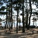 율포해수욕장 이미지