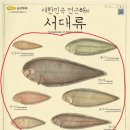 군산박대사업단