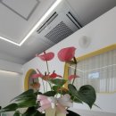 하루멍멍 이미지