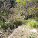 신세기공인중개사사무소 이미지