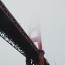 다리 bridges 이미지