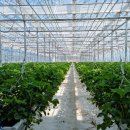 워니 농장 이미지