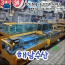 인천수산 | [미리티비] "해남수산에서 만난 인천의 진정한 회맛" 신선함이 가득한 인천 해남수산 맛집 후기