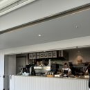 뉴대장금 | [2월 시드니 자유여행] 4일차 A.P bakery | NSW도서관 | 밀슨스포인트 | 챗타이 | 마사지 | 한식 대장금