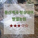 벧엘애견 이미지