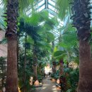 구송목장 | 송도 포레스트아웃팅스 솔직 후기, 아이 넷 데리고 다녀온 대형 숲뷰 카페