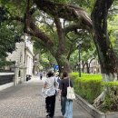 무지개 빨래방 | 2025 광저우 CIBE 박람회 후기 (및 여행)