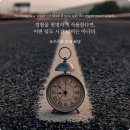 르네 이미지