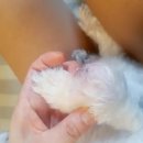 오앤피 이미지