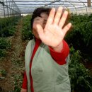 평동농장 이미지