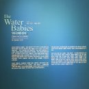 제나할러웨이 워터베이비전 이미지