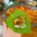 쭈담 시청북창점 | 시청역불쭈꾸미요리 매운맛 부담 없이 즐기는 불향 입힌 쭈꾸미맛집 I 쭈담 시청북창점 I