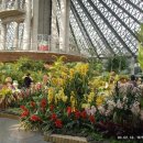 방림원 식물원 이미지