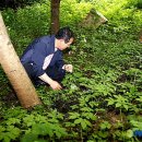 김진규농장 이미지