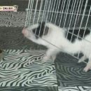 민지농장 이미지