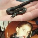 가가동물원 이미지