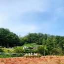 충식농장 이미지