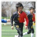 김제중앙초등학교 이미지