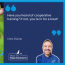 세바코리아 이미지