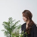 벨로아피오리 이미지