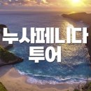 핀콕트립 네이버블로그