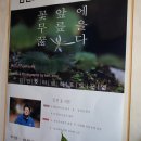 꽃앞에 무릎을 굻다.-일자르디노 갤러리에서 열리는 김인호 샘 시사전 이미지