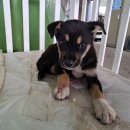 안골로108번길 이미지