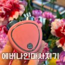 에버나인 | 에버나인 갈바닉 마사지기 가성비 뷰티디바이스 후기