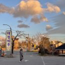 대청마루 | 속초 아침식사 맛집 아이랑 먹기 좋은 대청마루 솔직후기