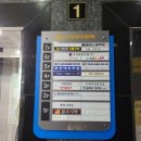 구미 눈썹문신 추천! 헤어스트록 자연눈썹 반영구 '누아스튜디오' 내돈내산 즐기기