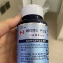 내돈내산 4개 브랜드 유산균 섭취 후기 (락토핏, 자로우, 바이오가이아, 에이앤비 포르테)