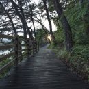 동행간병인협회 - 서구 | 동행간병인협회