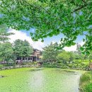 오월의정원 포레스트 이미지